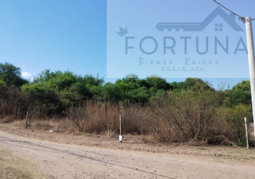 Terreno en venta - Coronel Moldes